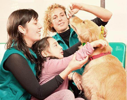 סוגי כלבים המתאימים לעבודה טיפולית